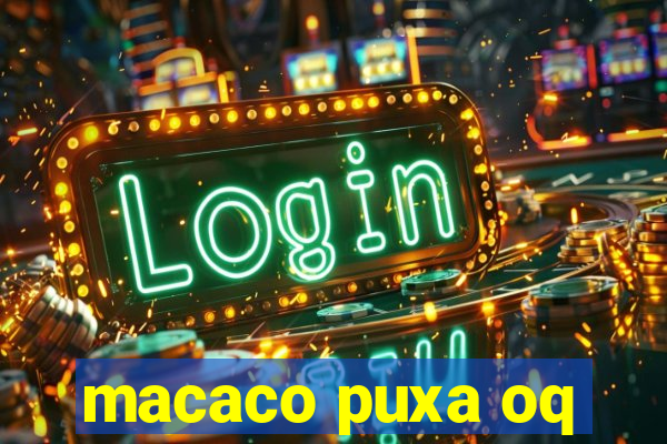 macaco puxa oq